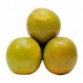 LARANJA PERA